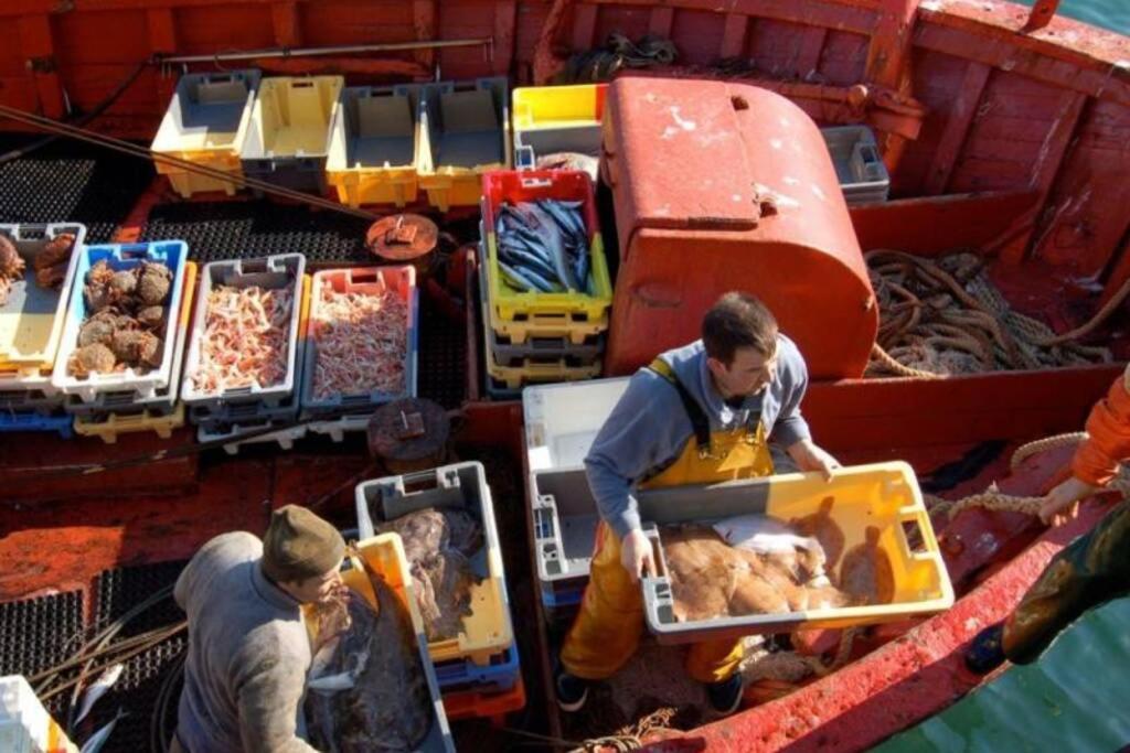 Kermaravel, Le Petit Manoir En Bord De Mer. Saint-Pol-de-Léon Exteriér fotografie